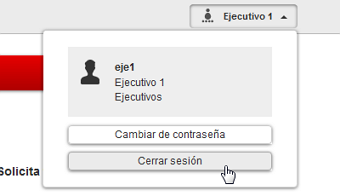 Botón para el cierre de sesión.